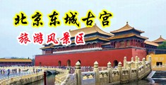 上床啊啊啊艹屄屄视频中国北京-东城古宫旅游风景区